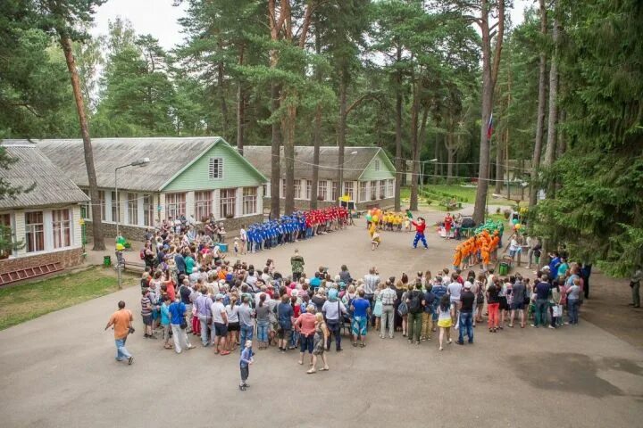 Дол ткани. Лагерь салют. Оздоровительный лагерь салют Городецкий район. Лагерь салют Городецкий район Нижегородская область. Лагерь дол салют.