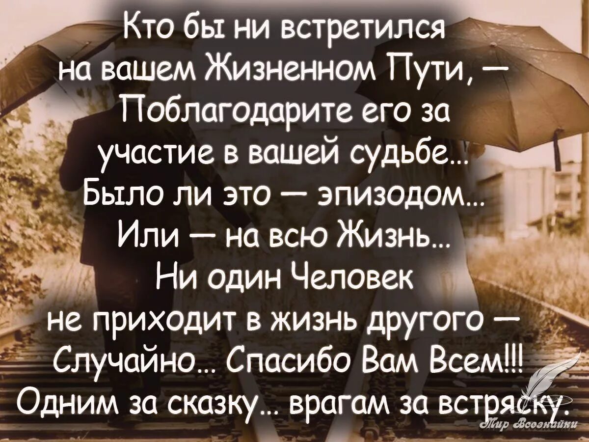 Цитаты про судьбу. Стихи о жизни и судьбе. Высказывания о жизни. Судьба слово.