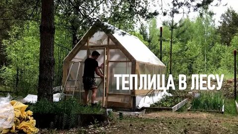 Теплица дачный ответ