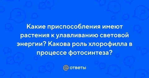 Какие приспособления к улавливанию световой