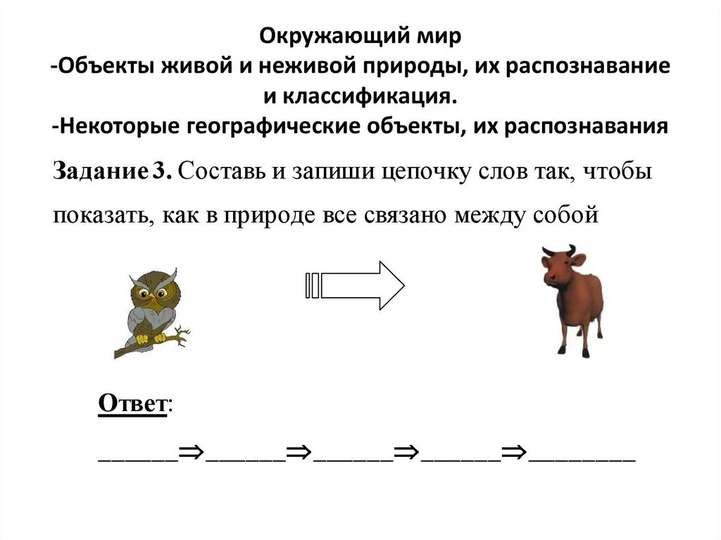 Комплексная работа сова ответы