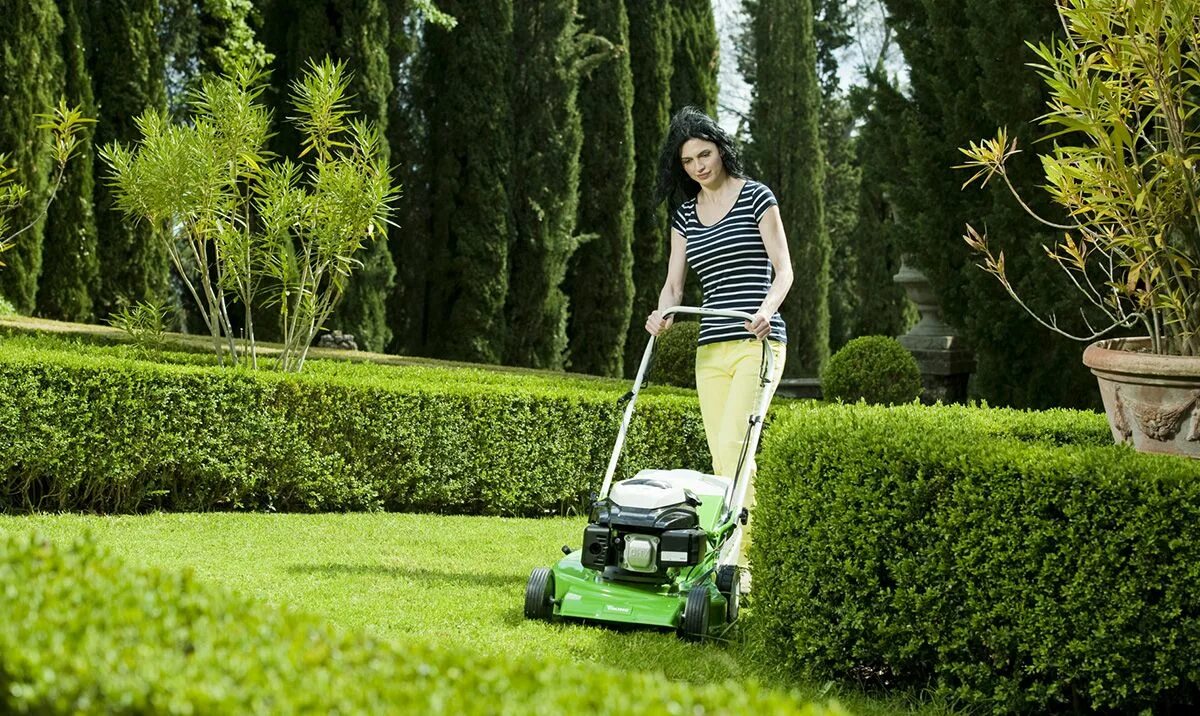 Lawn mower. Viking MB 248.4. Стрижка газона. Стрижка газона газонокосилкой. Кошение травы газонокосилкой.