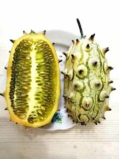 Рогатая дыня из 6 букв