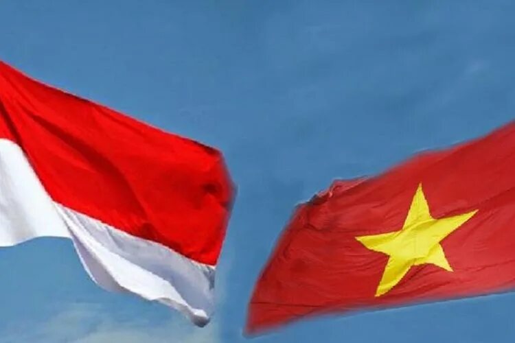 Вьетнам Индонезия.