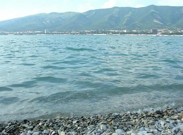 Море в геленджике сейчас. Голубая бухта в геленджике. Анапа сирена. Почему в геленджике самая тёплая вода. Вода теплая в геленджике.
