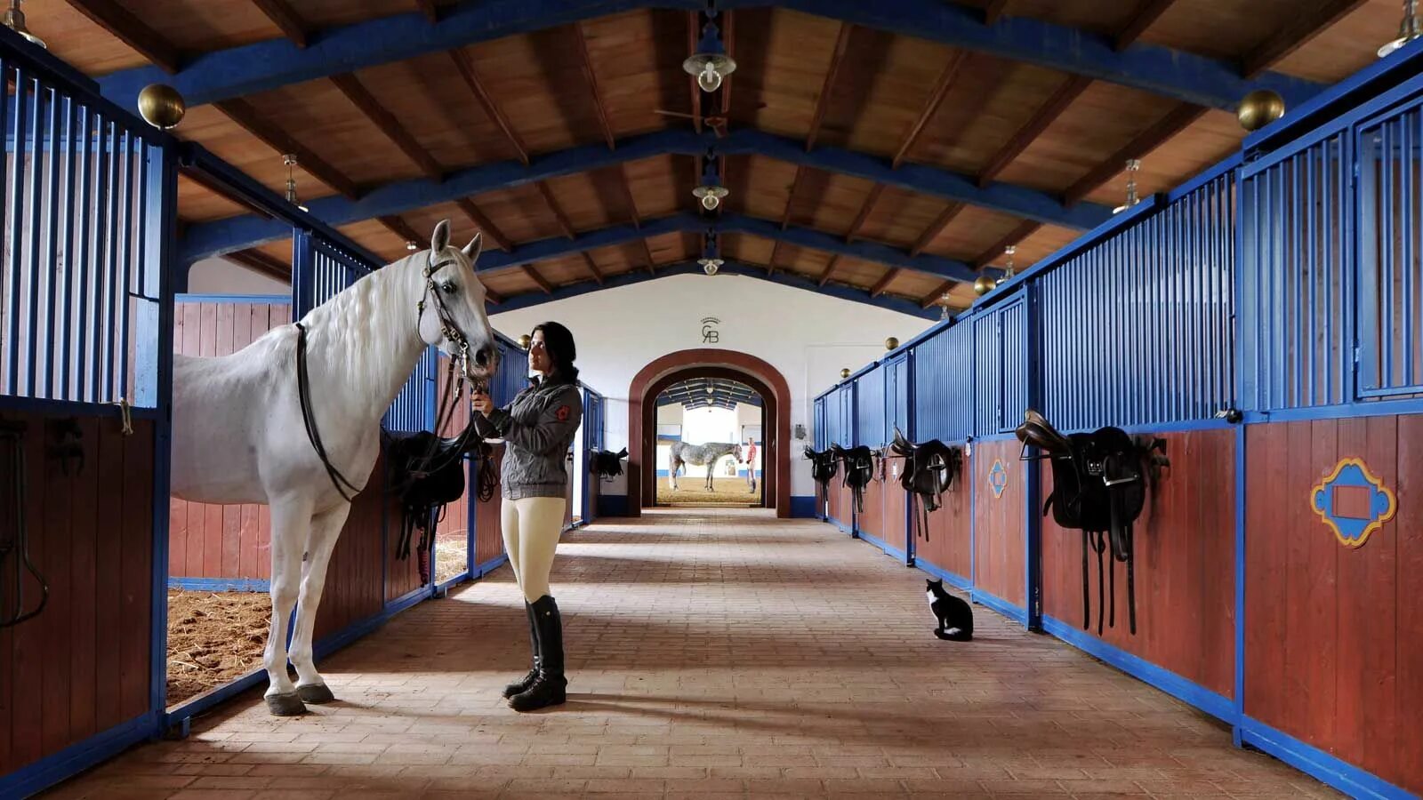 Stable line