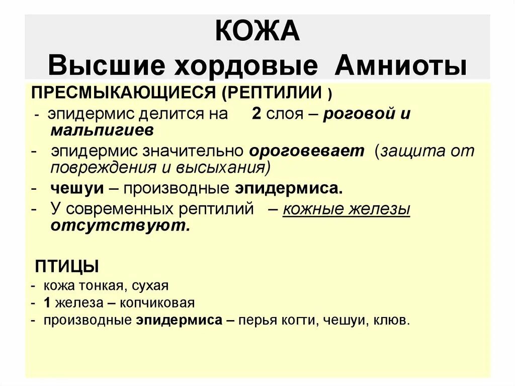 Амниоты. Анамнии и амниоты. группы анамнии и амниоты. признаки анамний и амниот. строение яйца анамний и амниот.