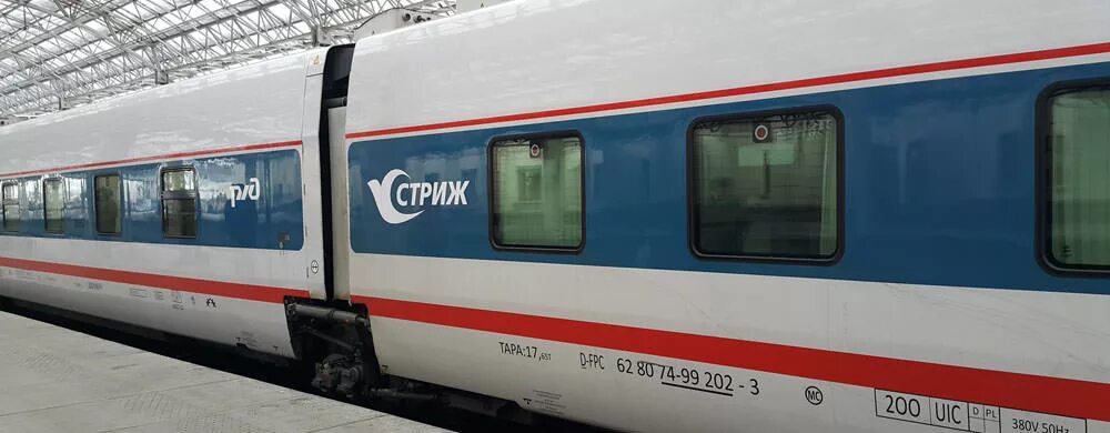 Поезда ласточка стриж москва нижний новгород. Ржд стриж нижний новгород. поезд стриж ржд. поезда ласточка стриж сапсан иволга. сапсан ласточка стриж ржд.
