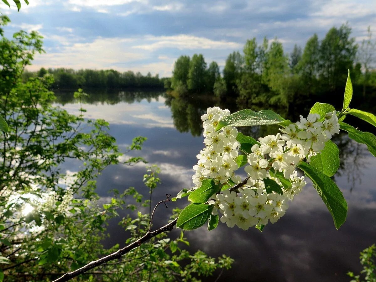 Майский день весны