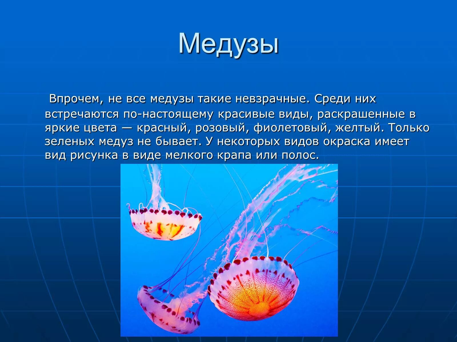 Интересные факты о медузах. Медузы презентация. Подводный мир описание. Сообщение на тему обитатели морей и океанов. Медуза презентация.