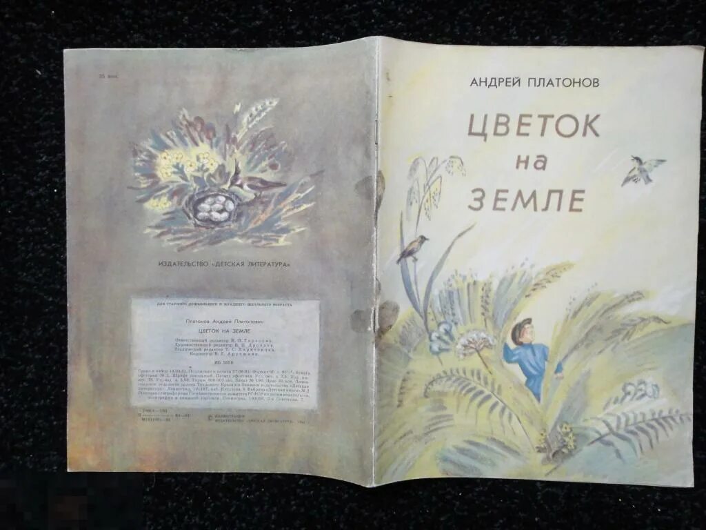 Цветок на земле Платонов. Цветок на земле Платонов рисунок. Цветок на земле Платонов книга. Цветок на земле Платонов слушать. А п платонова цветок на земле