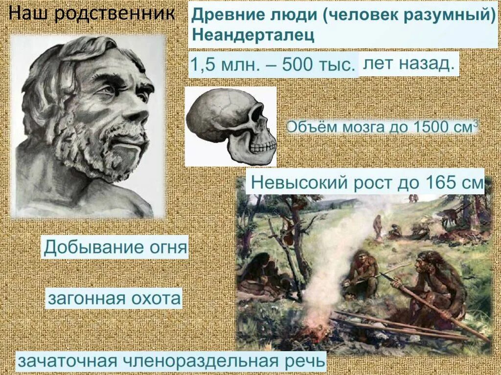 Сколько лет назад появился человек на земле. Сколько лет назад появился человек разумный. Как появился первый человек на земле. Как появился человек на земле 5 класс таблица. В каком году появилось человечество.