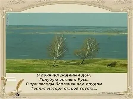 Три звезды березняк над прудом