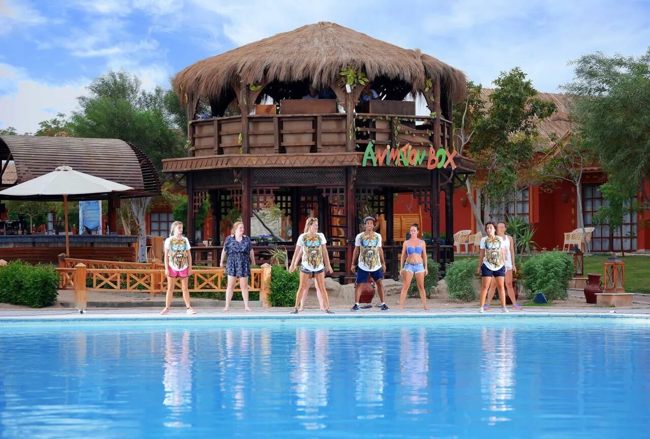 Jungle Aqua Park by Neverland 4 Хургада. Pickalbatros Jungle Aqua Park Resort - Neverland Hurghada. Альбатрос Джангл аквапарк номера.