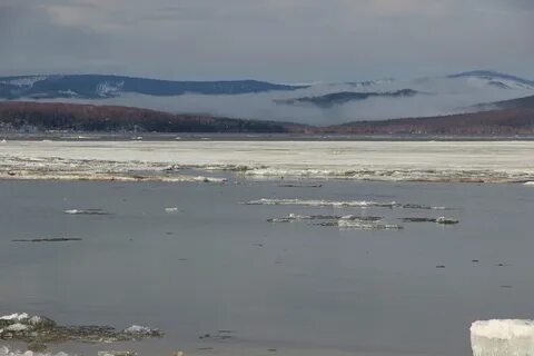 Хабаровск амура вода
