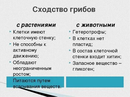 Признаки сближающие грибы с животными