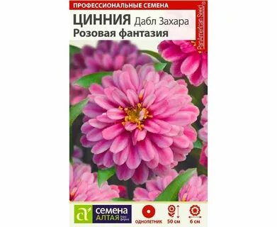 Циния захара отзывы фото и описание