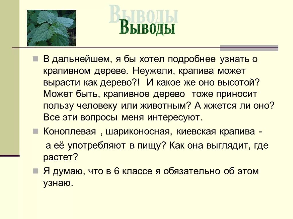 Вывод о крапиве. Заключение о крапивы. Сочинение жила была крапива 5 класс. Сочинение про крапиву. Крапиву запоминаем огэ 9