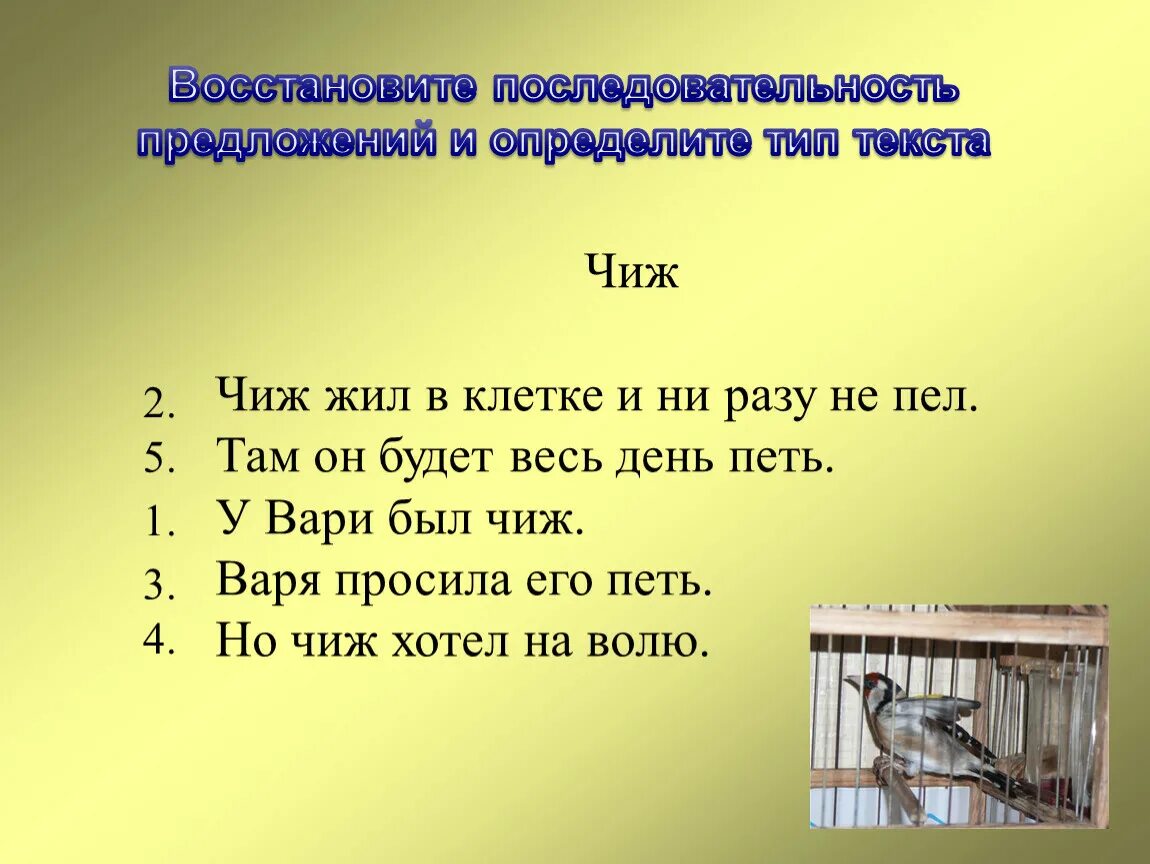 Не поем но жив буду. У Вари был Чиж. У Вари был Чиж текст.