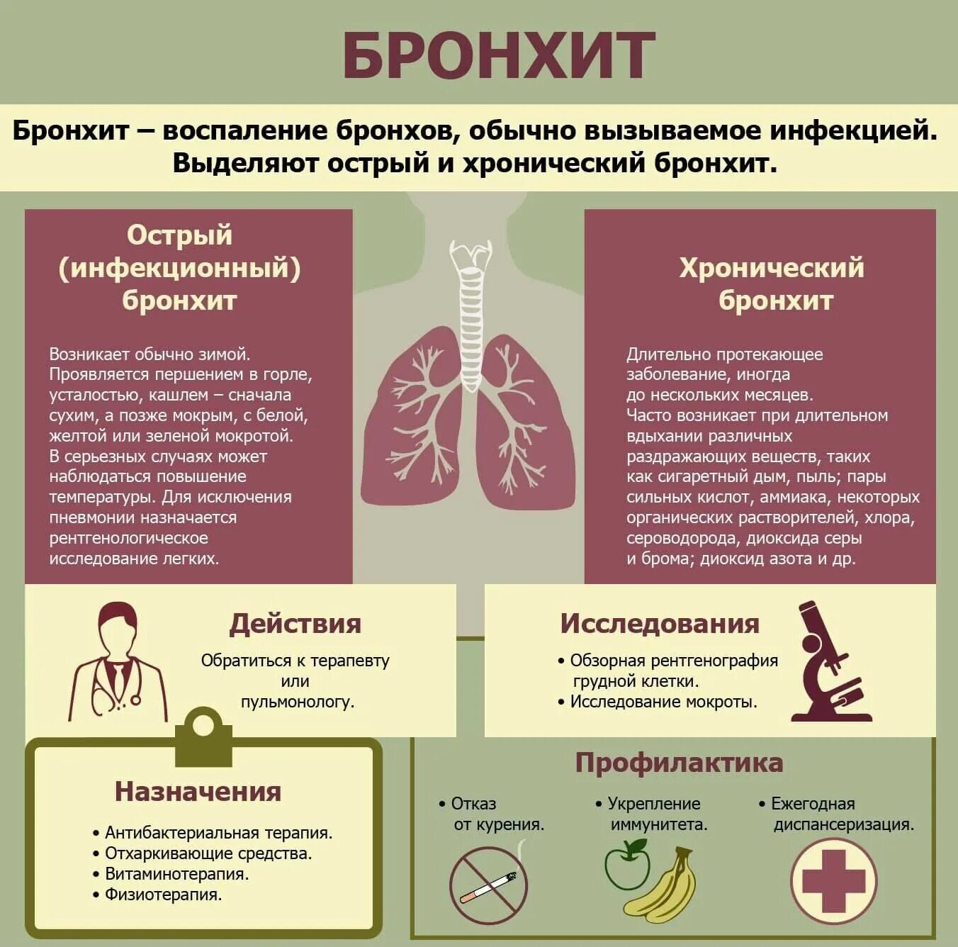 Лечение мокрота бронхит. Тип дыхания при хроническом бронхите. при обструктивном бронхите поражаются. основной симптом хронического бронхита. клинические проявления при хроническом бронхите.