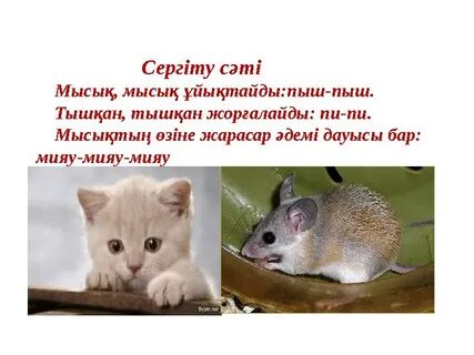 Интернетте үлкен кисканы жылқы әтешімен трахает алады