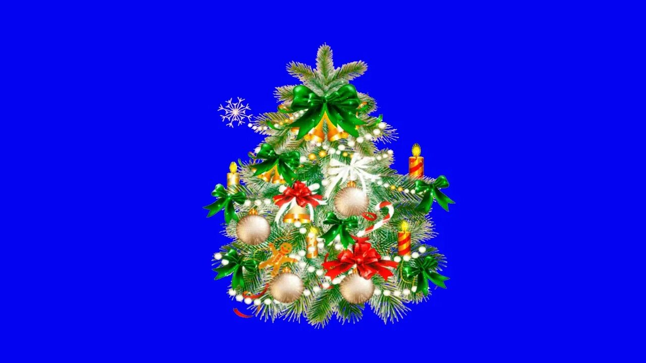 Елка хромакей. Елка грин скрин. Елка хромакей. Ель хромакей. Елка грин скрин.