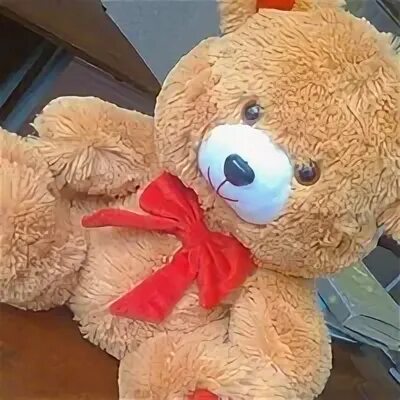 Огромный медведь игрушка. Мишка тимка. Игрушка "мишка". Метровый мишка. Дорогой плюшевый мишка 29.