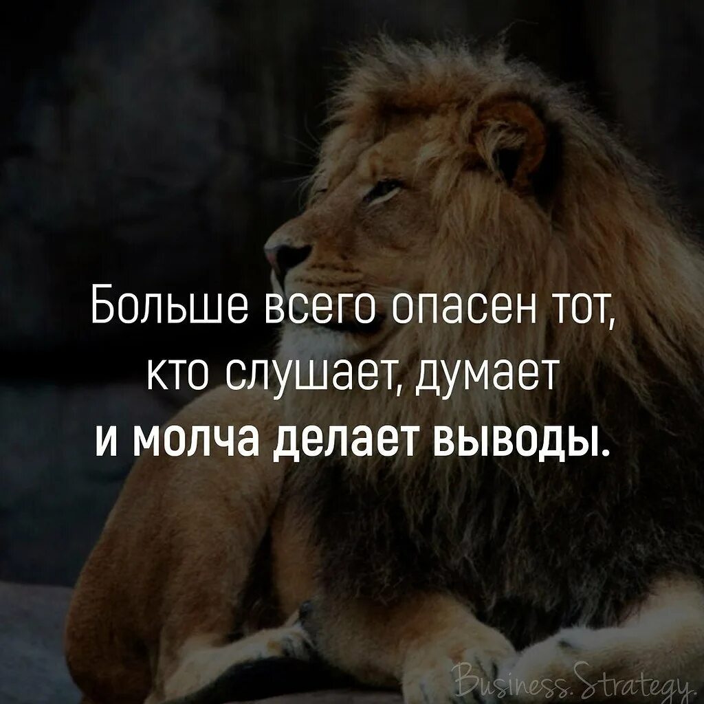 Мне гораздо больше нравился. Мысли Лев. Обиженный Лев. Афоризмы про Львов. Статусы про Льва.