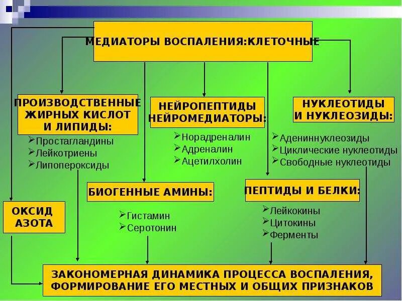 К медиаторам воспаления относятся. Клеточные медиаторы воспаления. Синтез медиаторов воспаления. Воспаление медиаторы воспаления.