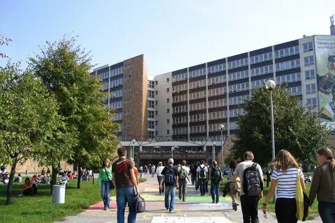 University article