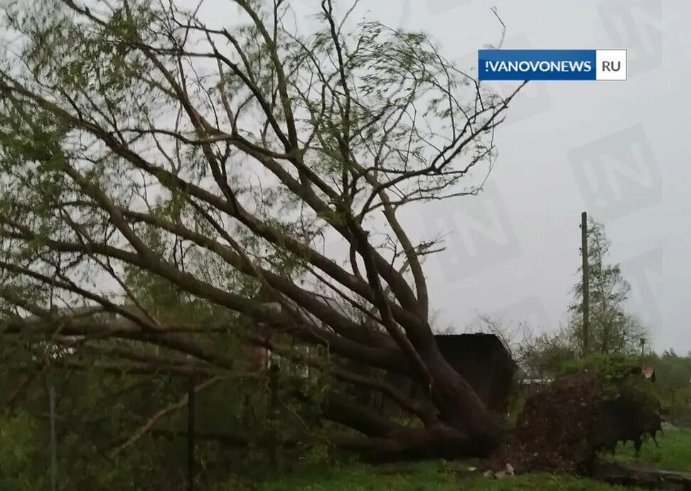 Ураган в беларуси 2024. Ураган в белоруссии сегодня новости. Ураган в беларуси 2024. Ураган в москве. Ураган в минске вчера видео.