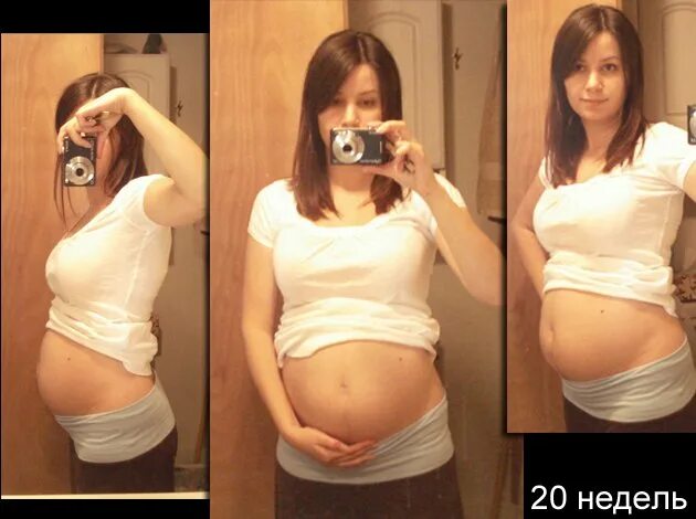 Экватор беременности. Экватор у беременных. Экватор беременности фото. Экватор беременности картинки.