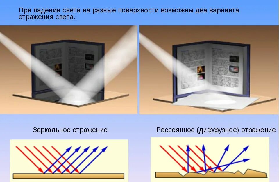 Как предметы отражают свет