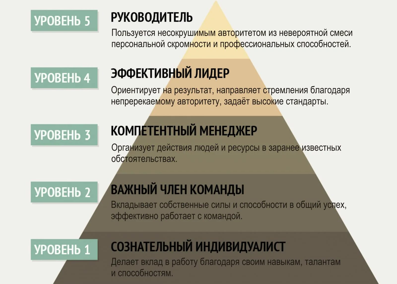 Уровни лидерства. Пирамида лидерства. 5 Уровней лидерства. 5 Уровней лидерства Максвелл.