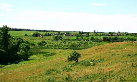 Дроновка белгородская область