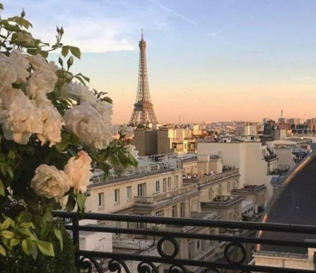 Вид на Эйфелеву башню. Париж Эстетика. Paris с цветами.