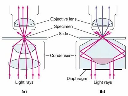 Techniques comparison
