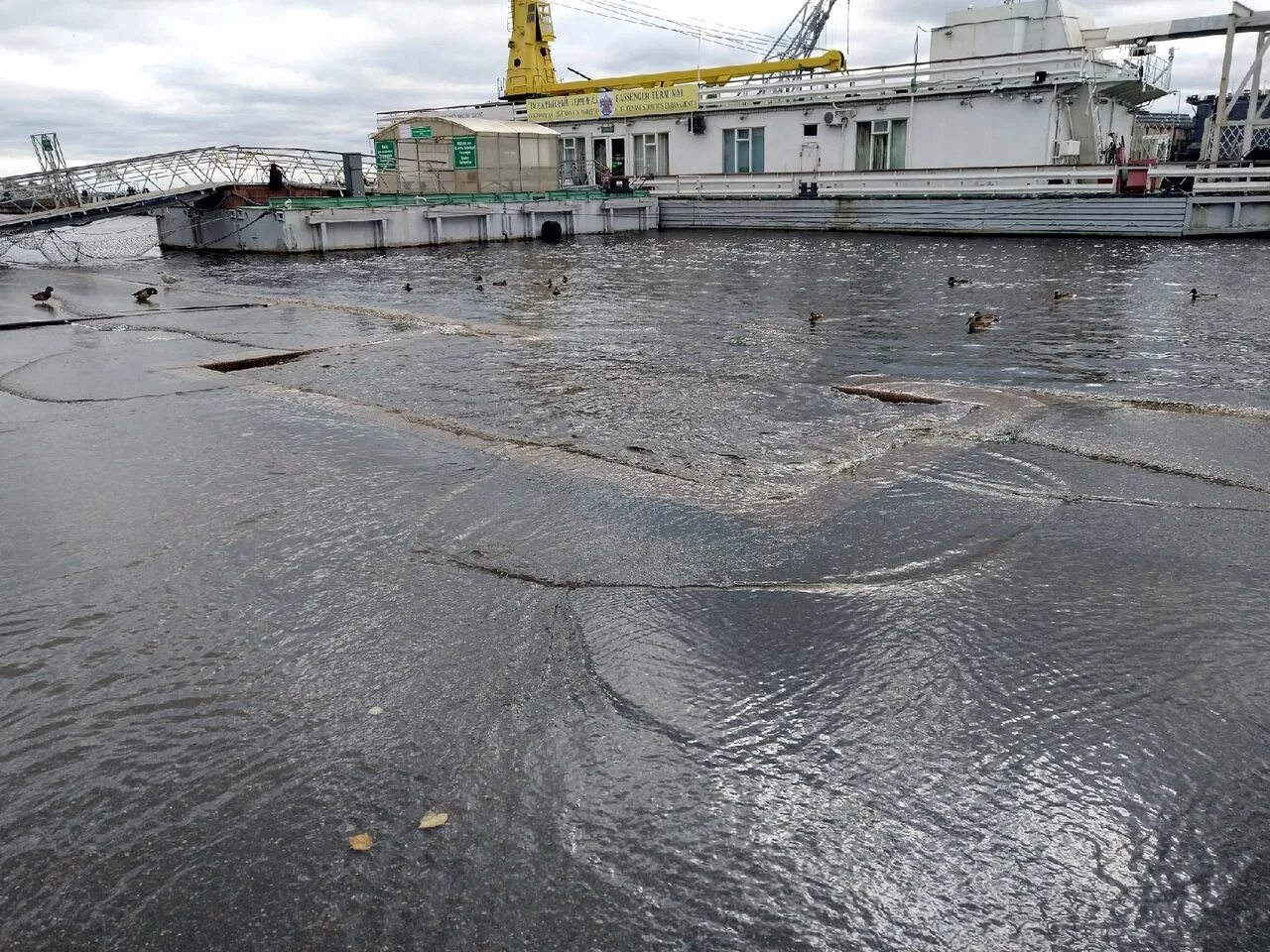 Веб камеры уровня воды. Уровень воды в Неве. Наводнение на Неве в Санкт-Петербурге.