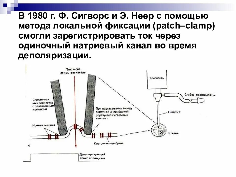 Некоторые с помощью этого метода