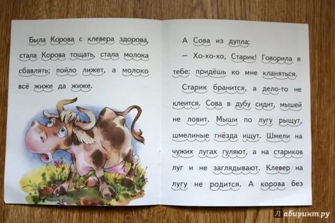 Старик мыши клевер