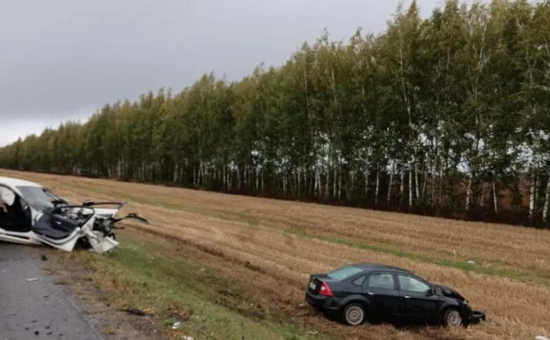 Дтп в борском районе самарской области. Дтп в борском самарской области. Авария на президентском мосту такси. Дтп на президентском мосту 29. Рыбновские новости и происшествия сегодня видео.