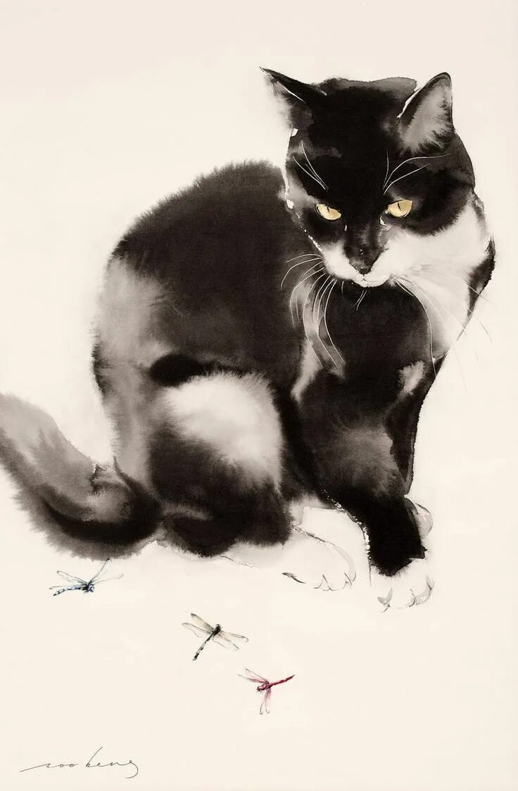 Кот тушью. Коты Графика. Черный кот акварелью. Кошка рисунок тушью.