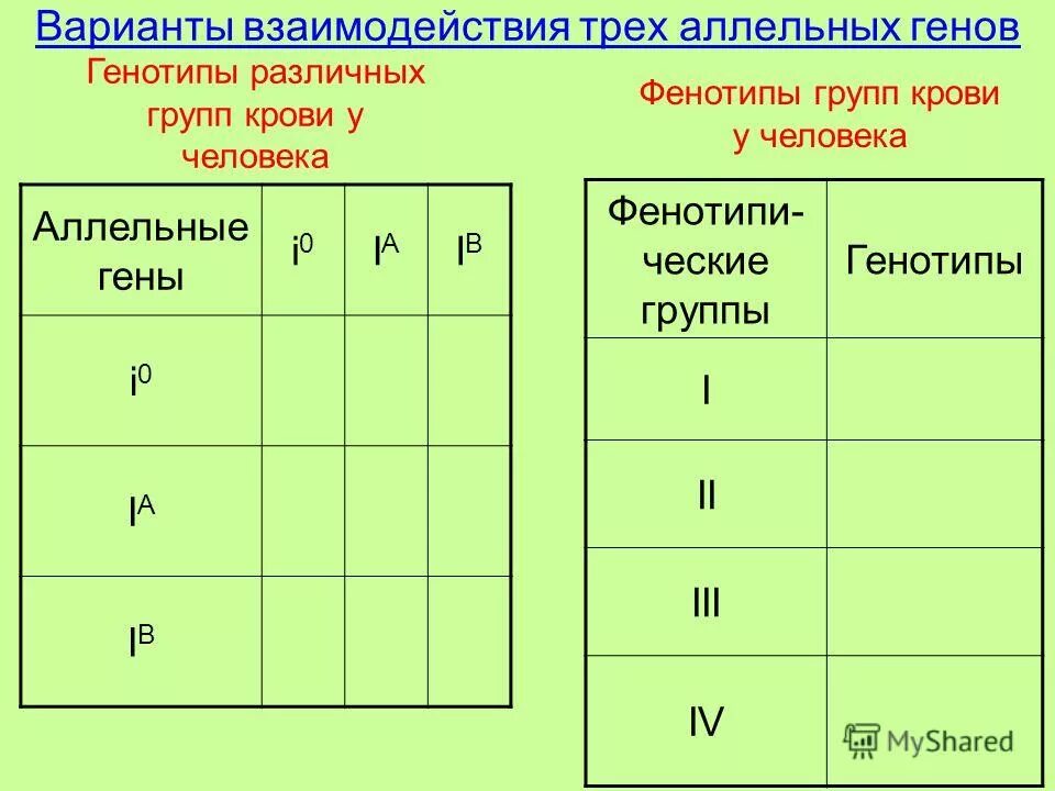 Гомозиготные и гетерозиготные организмы это. Ген геном генотип фенотип. Гемофилия кариотип. Генотип гаметы половой клетки. Генотип и фенотип.