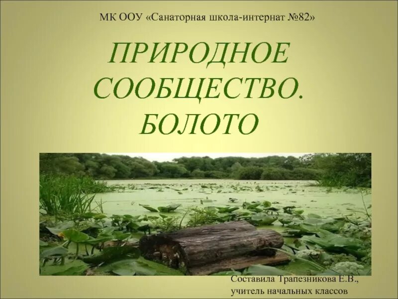 Природное сообщество болото 5 класс биология