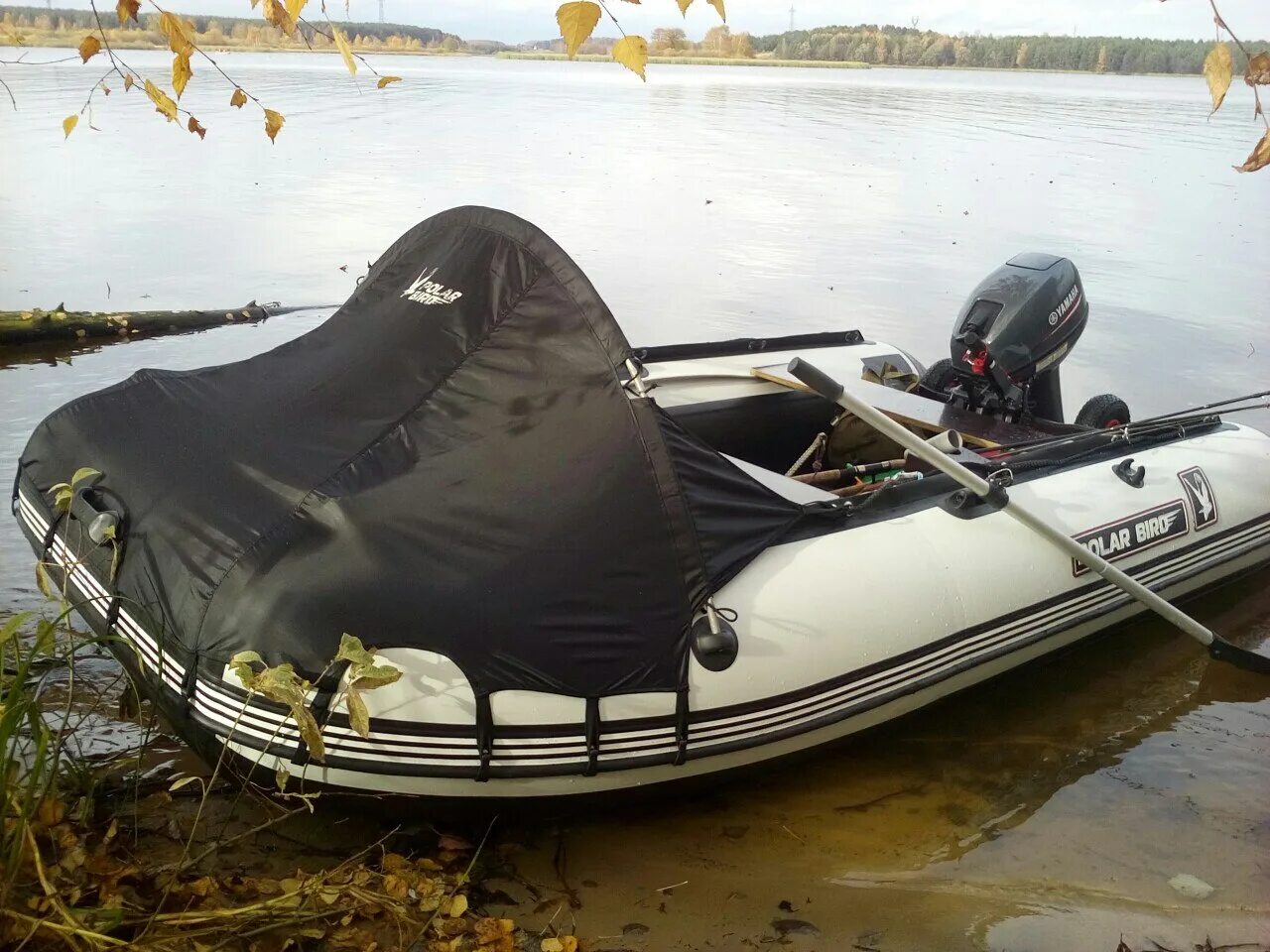 Лодки берд. Полар берд лодки. Надувная лодка polar bird 360m. Polar bird нднд. Лодки берд.