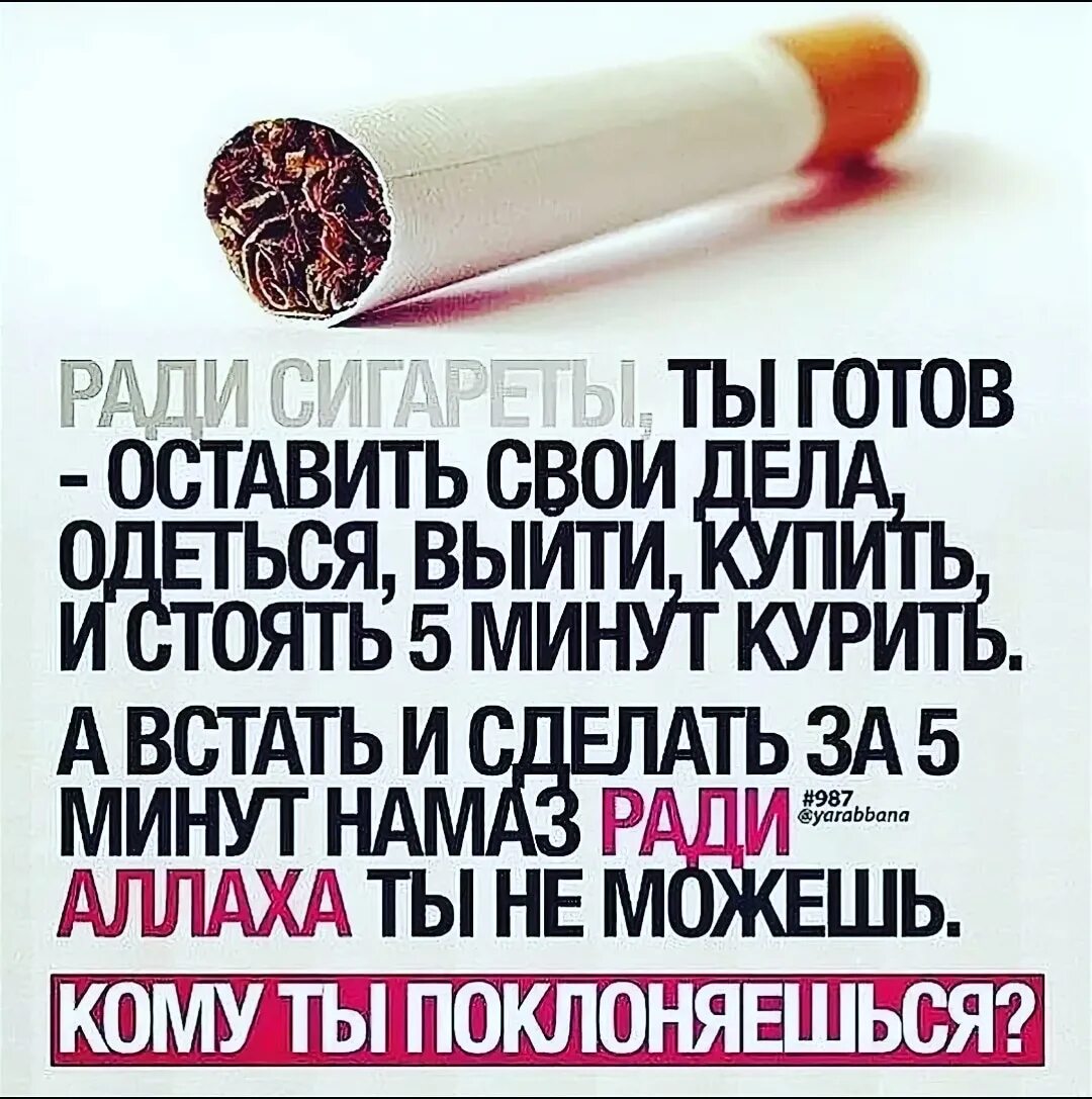 Что запрещено в религии ислам. Мусульманам нельзя алкоголь?. Можно пить в исламе. Можно пить в исламе. Можно пить в исламе.