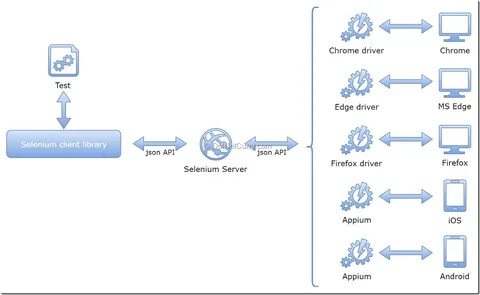 Selenium path