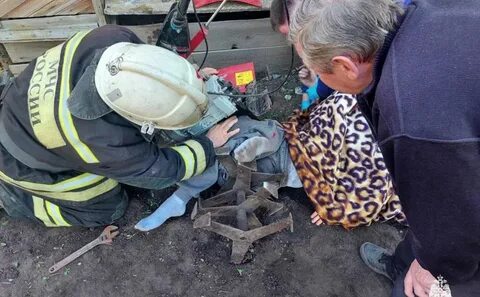 Помочь перенести