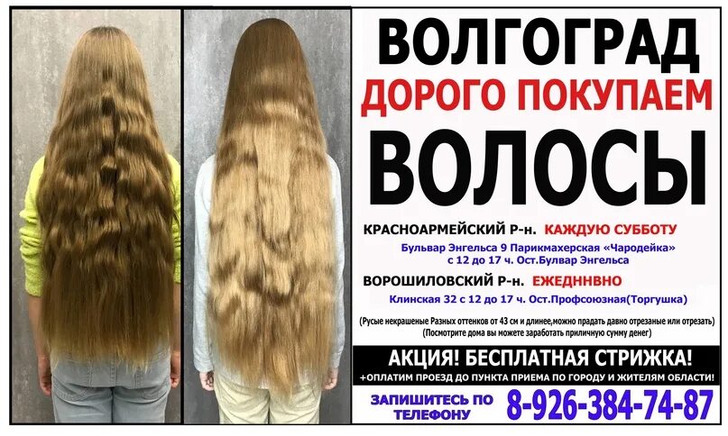 Купим волосы волгоград. Продать волосы. Куплю волосы. Волосы дорого. Как продать волосы дорого.