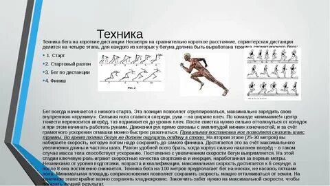 Увеличение туловища